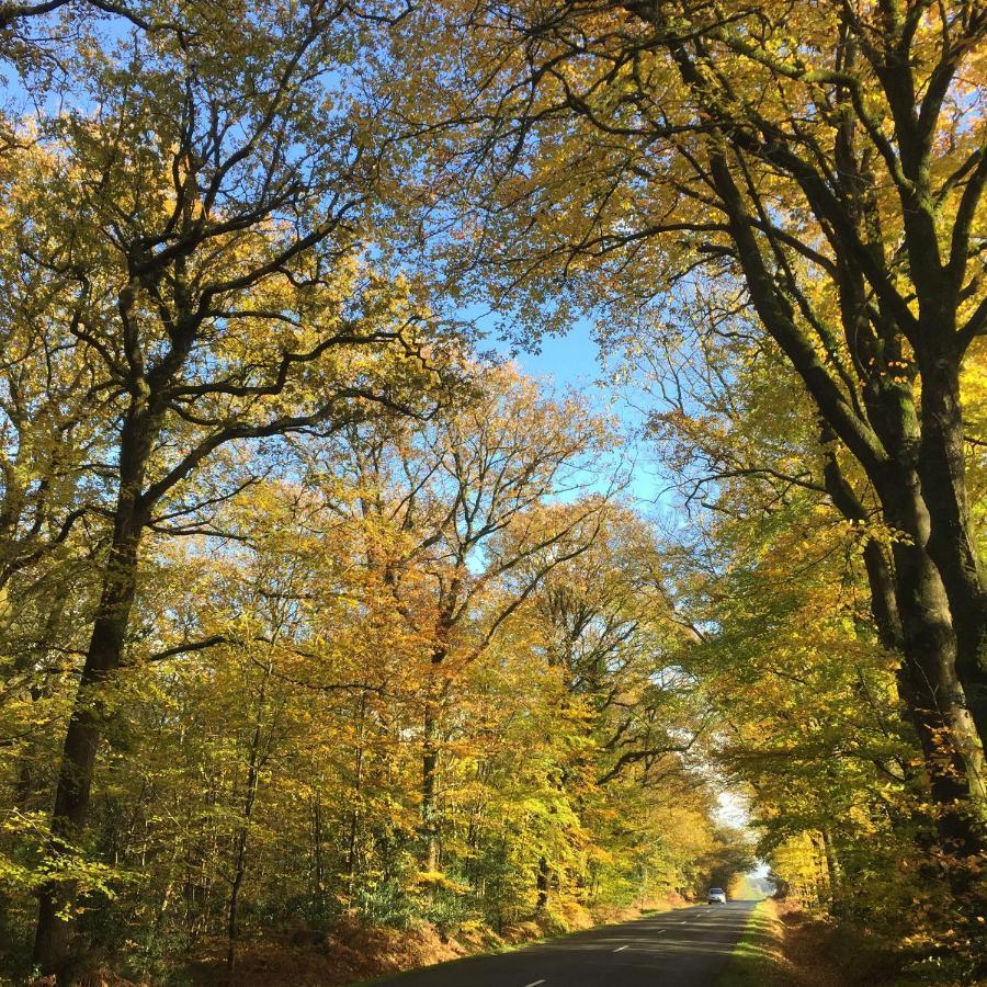 L'Hotie De Broceliande, Au Coeur Des Sites Naturels Et Legendaires Paimpont Exterior photo