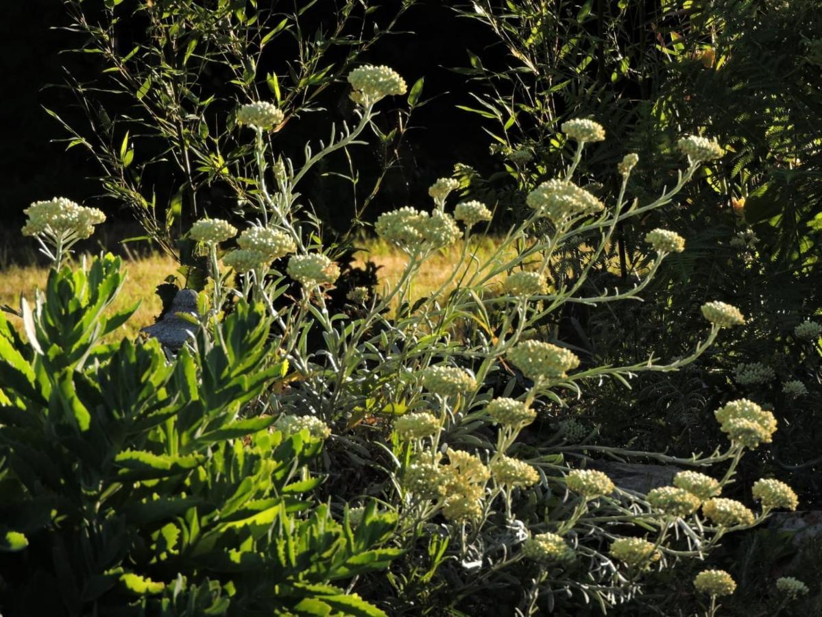 L'Hotie De Broceliande, Au Coeur Des Sites Naturels Et Legendaires Paimpont Exterior photo