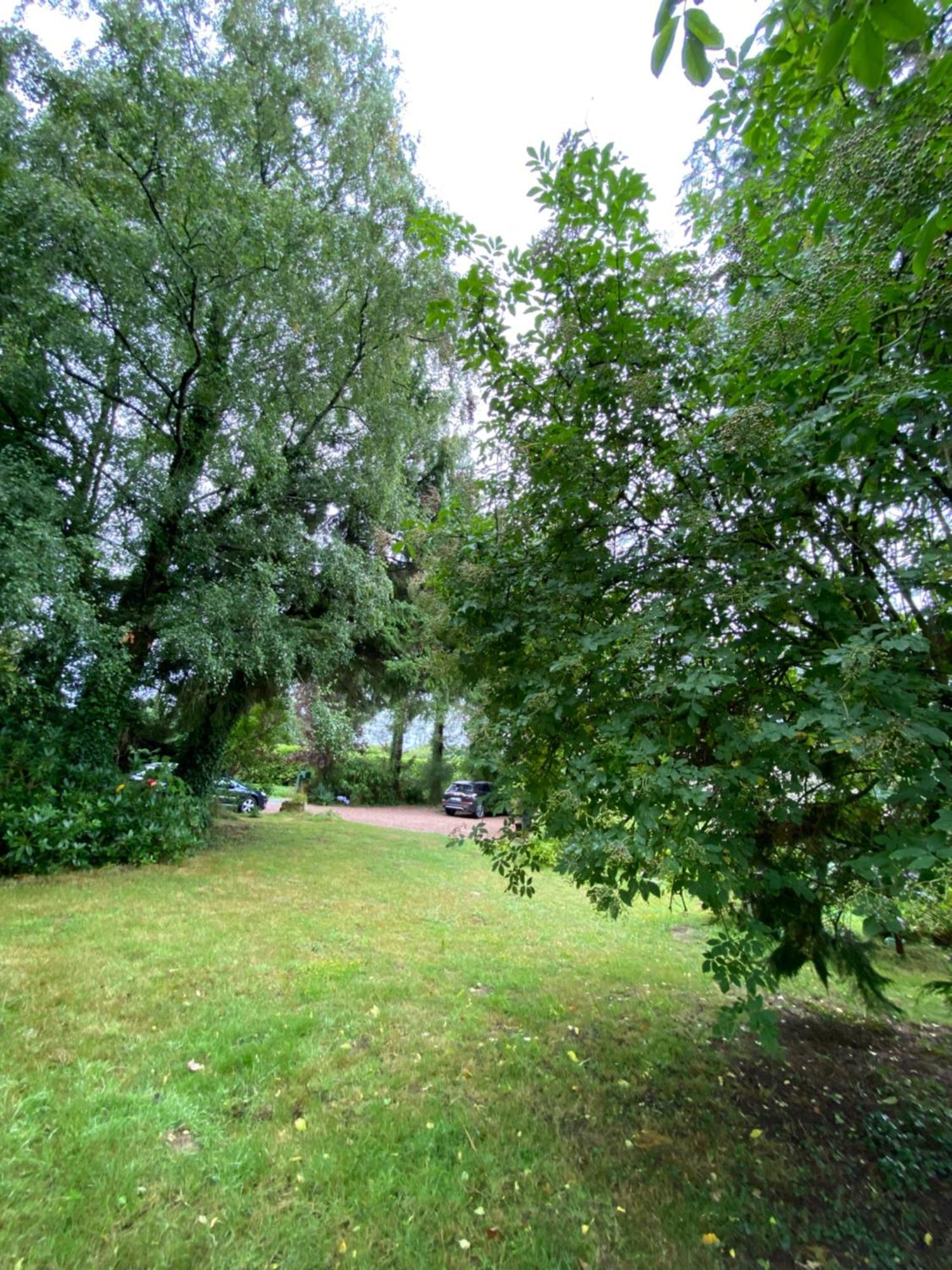 L'Hotie De Broceliande, Au Coeur Des Sites Naturels Et Legendaires Paimpont Exterior photo