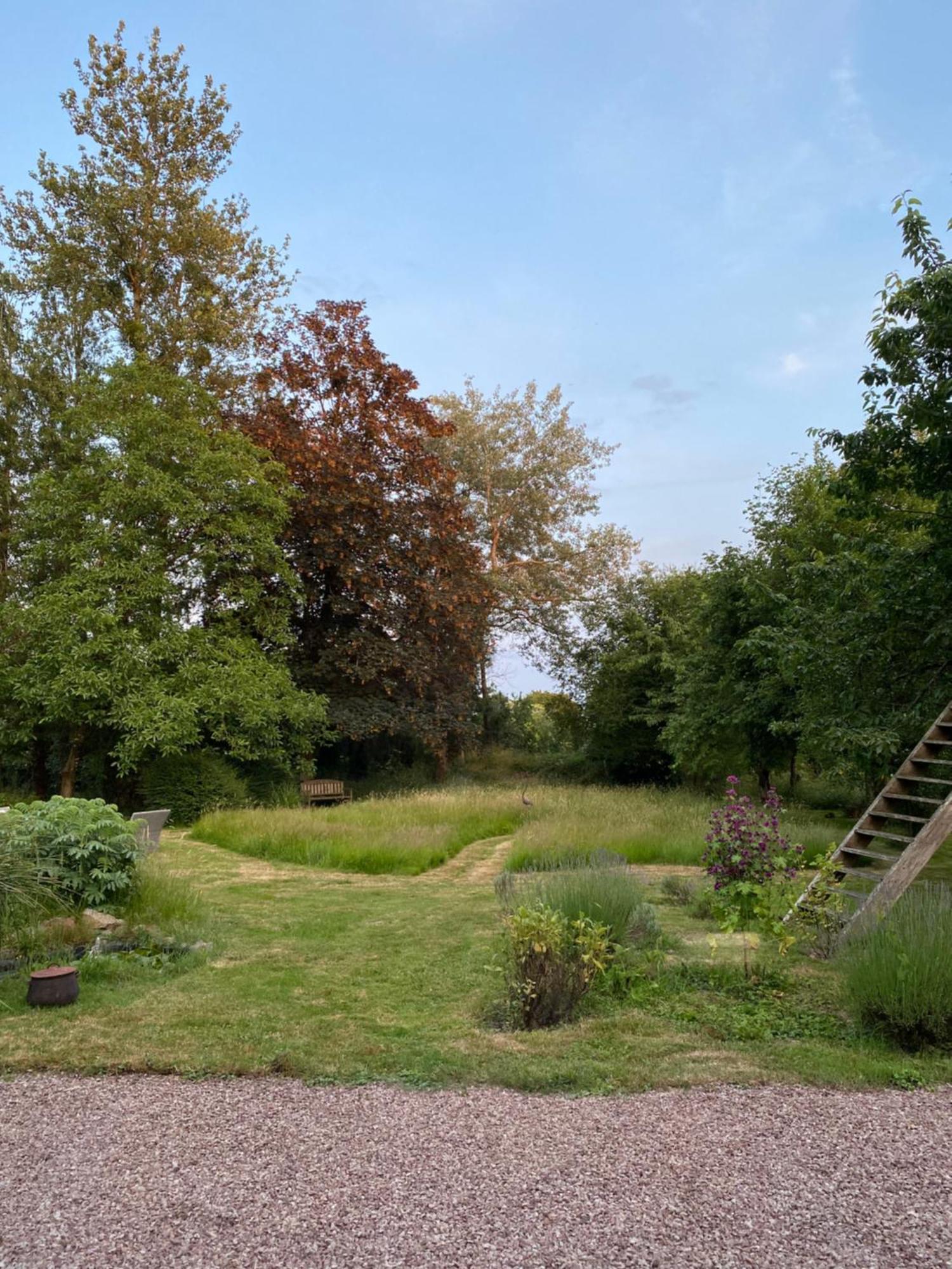 L'Hotie De Broceliande, Au Coeur Des Sites Naturels Et Legendaires Paimpont Exterior photo