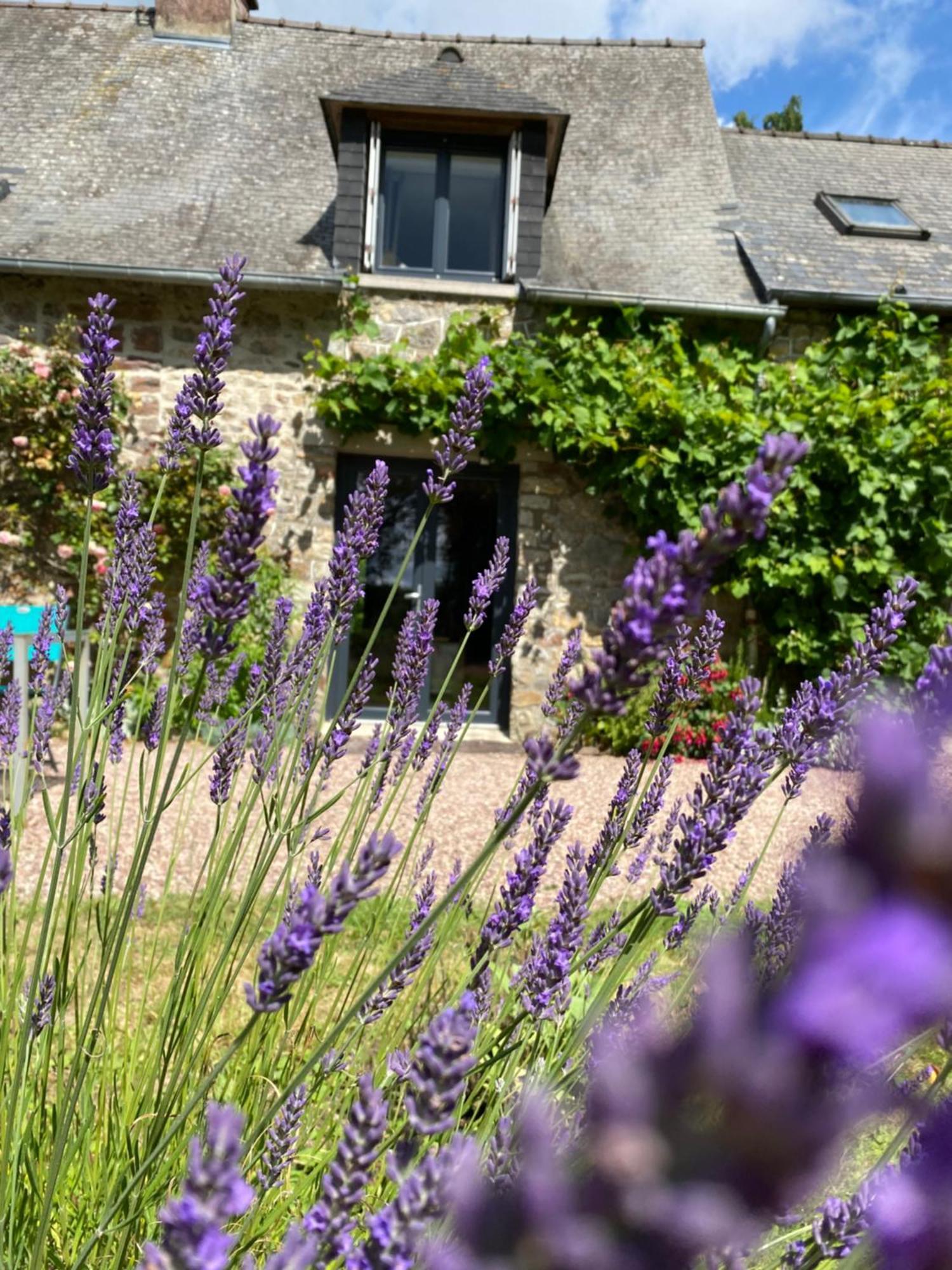 L'Hotie De Broceliande, Au Coeur Des Sites Naturels Et Legendaires Paimpont Exterior photo