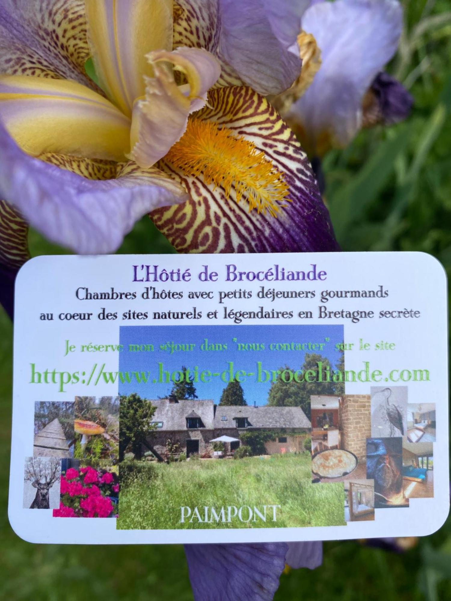 L'Hotie De Broceliande, Au Coeur Des Sites Naturels Et Legendaires Paimpont Exterior photo